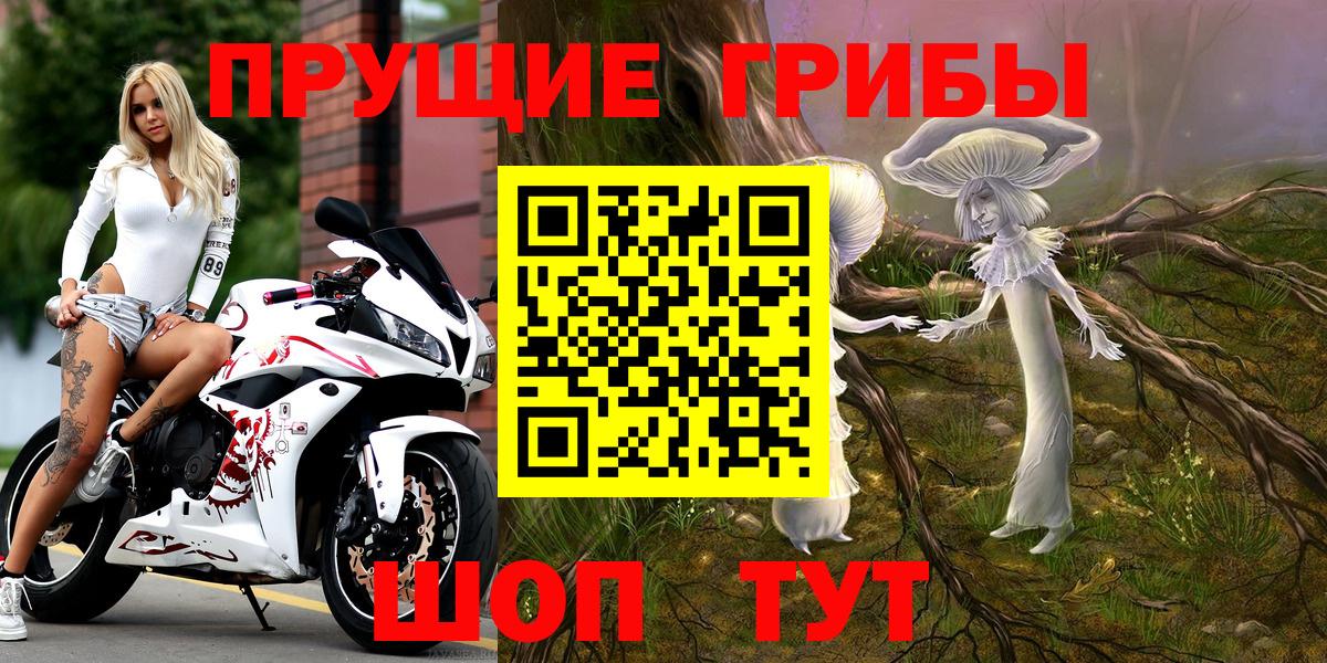 Псилоцибиновые грибы прущие грибы Мичуринск